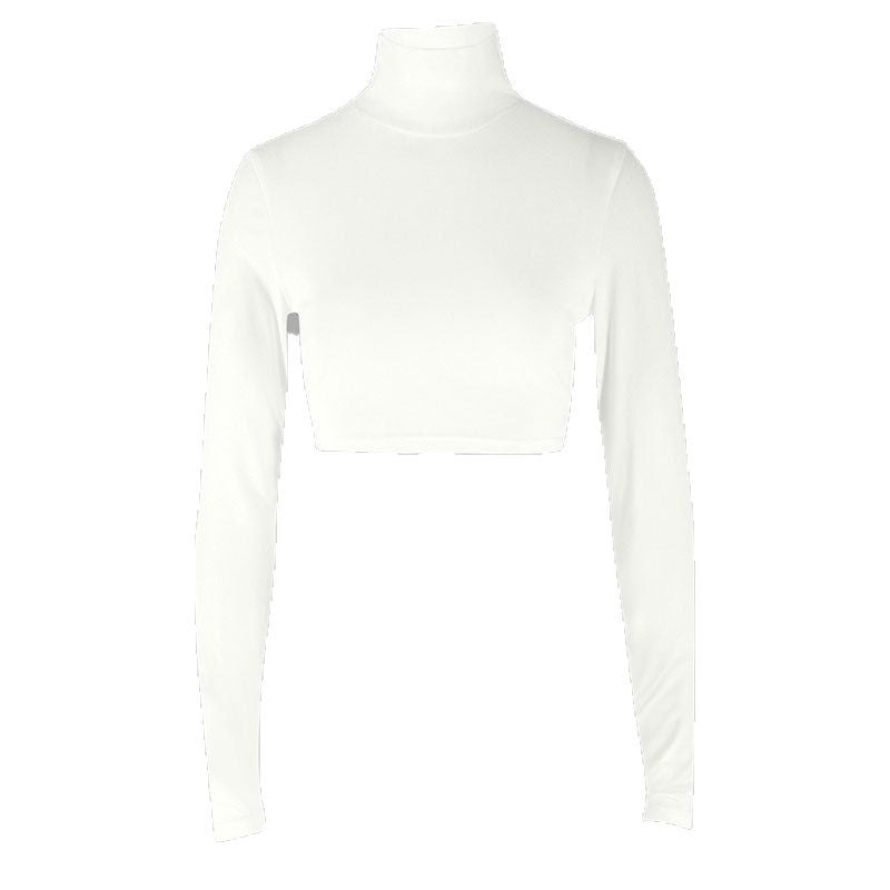 Solid Slim Fit High Neck Cropped Top