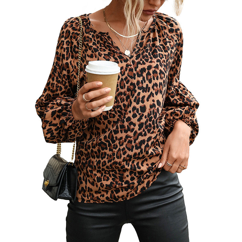 Leopard Print Pullover Blouse with V-Neck and Lantern Sleeves