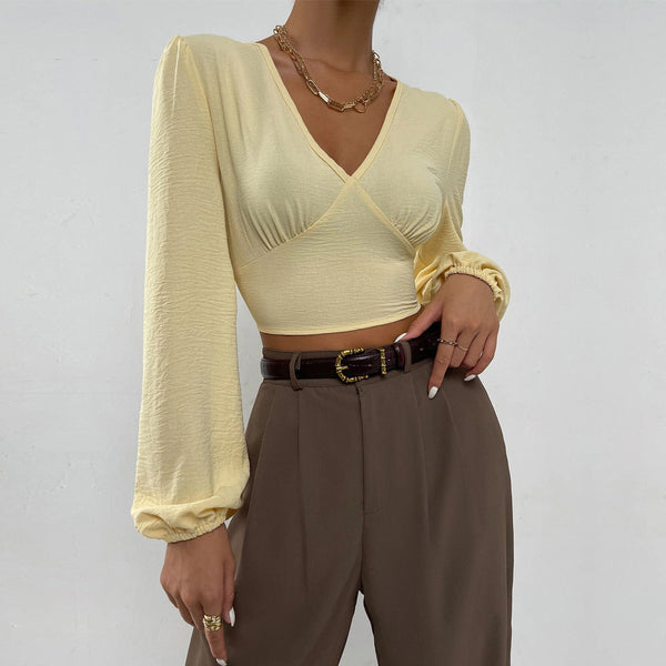 Textured V-Neck Crop Top with Long Bubble Sleeves