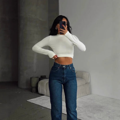 Solid Slim Fit High Neck Cropped Top