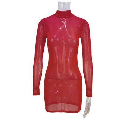 Sheer Mesh Bodycon Mini Dress with Stand Collar