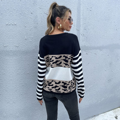 Leopard Print Colorblock Pullover with Striped Sleeves