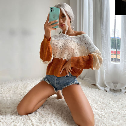 Color-Block Pointelle Knit Sweater with Crewneck