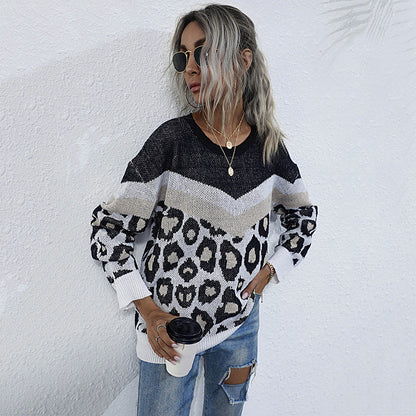 Leopard Print Crewneck Sweater with Chevron Color-Block Detail
