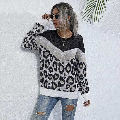 Leopard Print Crewneck Sweater with Chevron Color-Block Detail