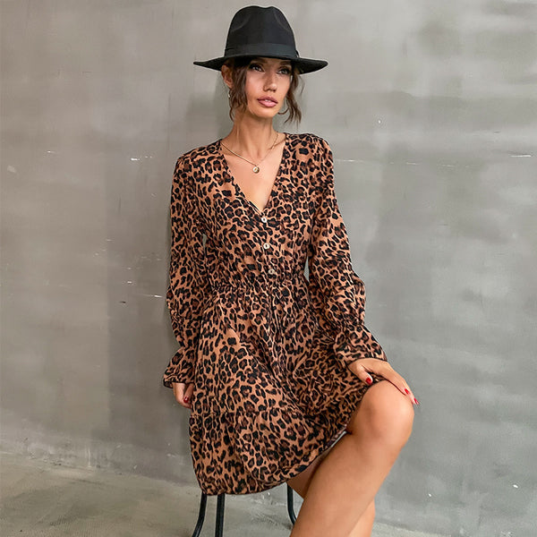 Leopard Print A-Line Mini Dress with V-Neck and Button Detail