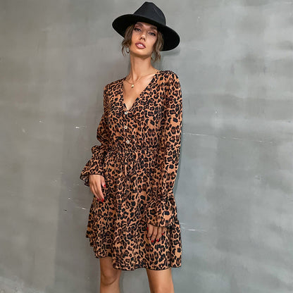 Leopard Print A-Line Mini Dress with V-Neck and Button Detail
