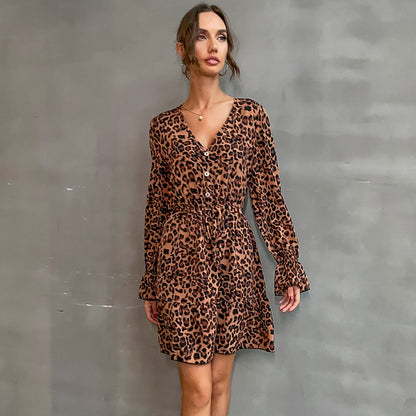 Leopard Print A-Line Mini Dress with V-Neck and Button Detail