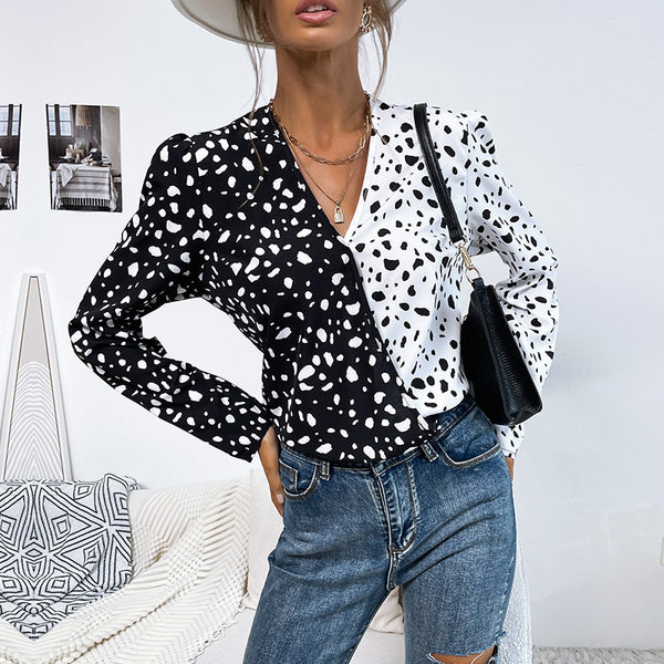 Color-Block Leopard Print Blouse with V-Neck and Long Sleeves