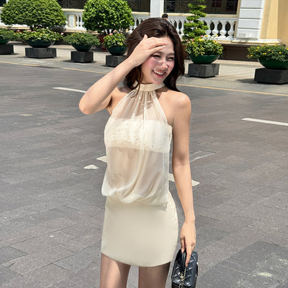 Slim Fit Mini Dress with Sheer Mesh Halter Overlay