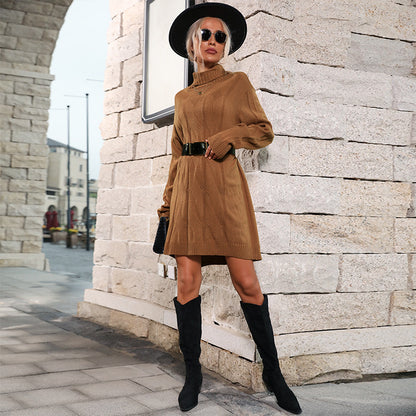 Solid Sweater Dress with Turtleneck and Twist Knit