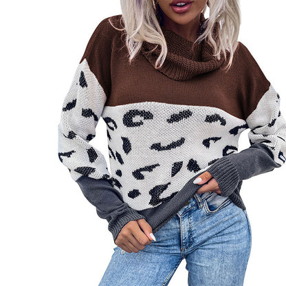 Color-Block Leopard Print Pullover with Cowl Neck