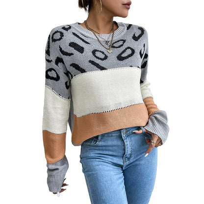 Leopard Print Color-Block Knit Sweater with Crewneck
