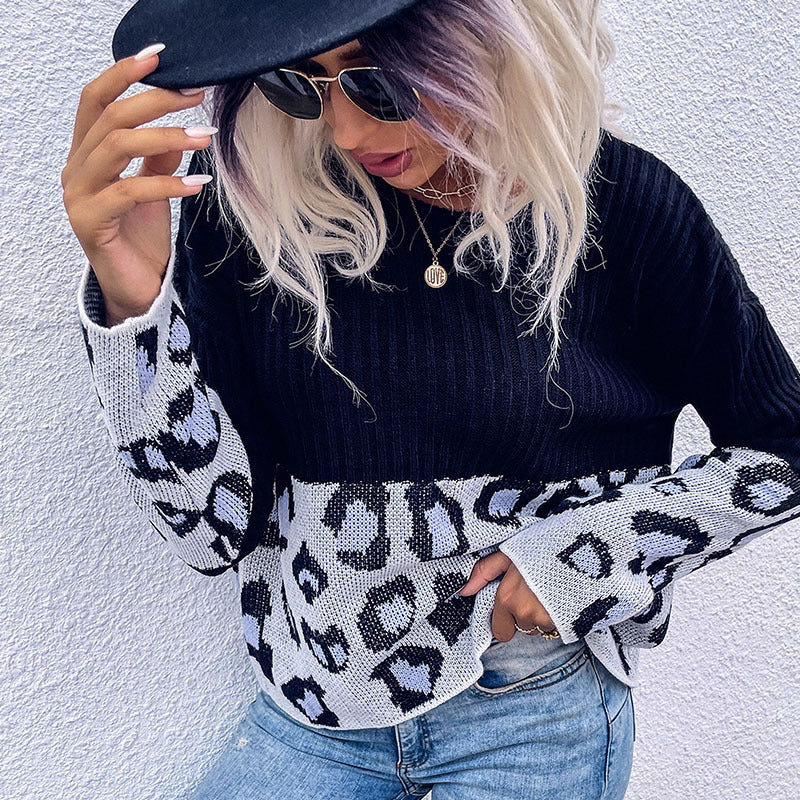 Color Block Leopard Print Pullover with Crewneck