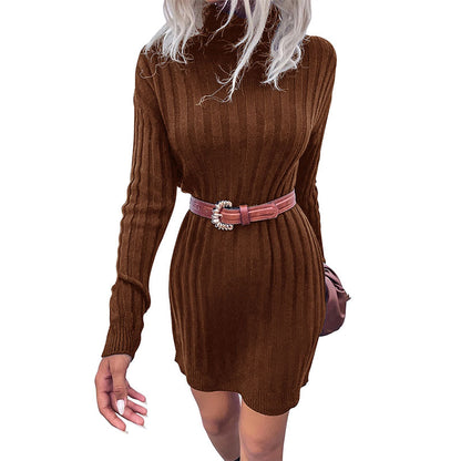 Loose Ribbed Sweater Dress with Turtleneck and Long Sleeves