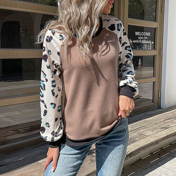 Leopard Print Color-Block Knit Sweater with Raglan Sleeves