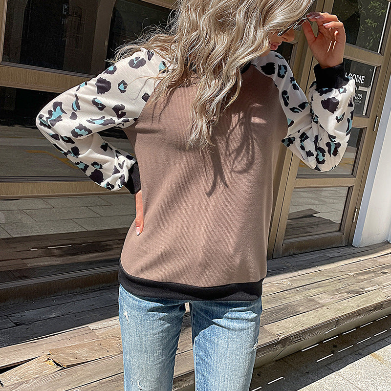 Leopard Print Color-Block Knit Sweater with Raglan Sleeves