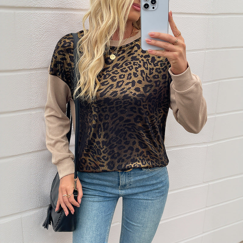 Leopard Print Round Neck Top with Color Block Sleeves
