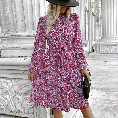 Ditsy Floral A-Line Dress with Stand Collar and Tie-Waist