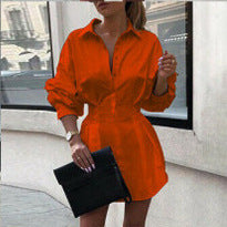 Solid Collared Shirt Dress with Long Sleeves and Cinched Waist