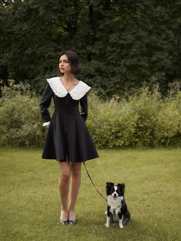 Fit-and-Flare Mini Dress with Doll Collar and Ruffled Cuffs