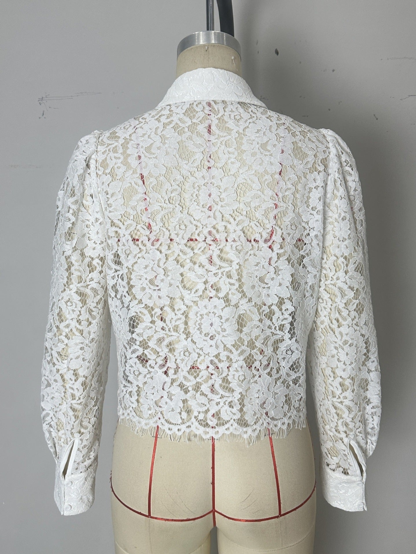 Sheer Lace Long-Sleeve Blouse with Shirt Collar and Fringe Hem