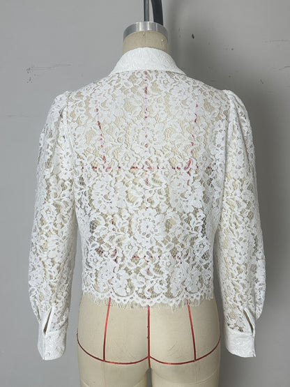 Sheer Lace Long-Sleeve Blouse with Shirt Collar and Fringe Hem