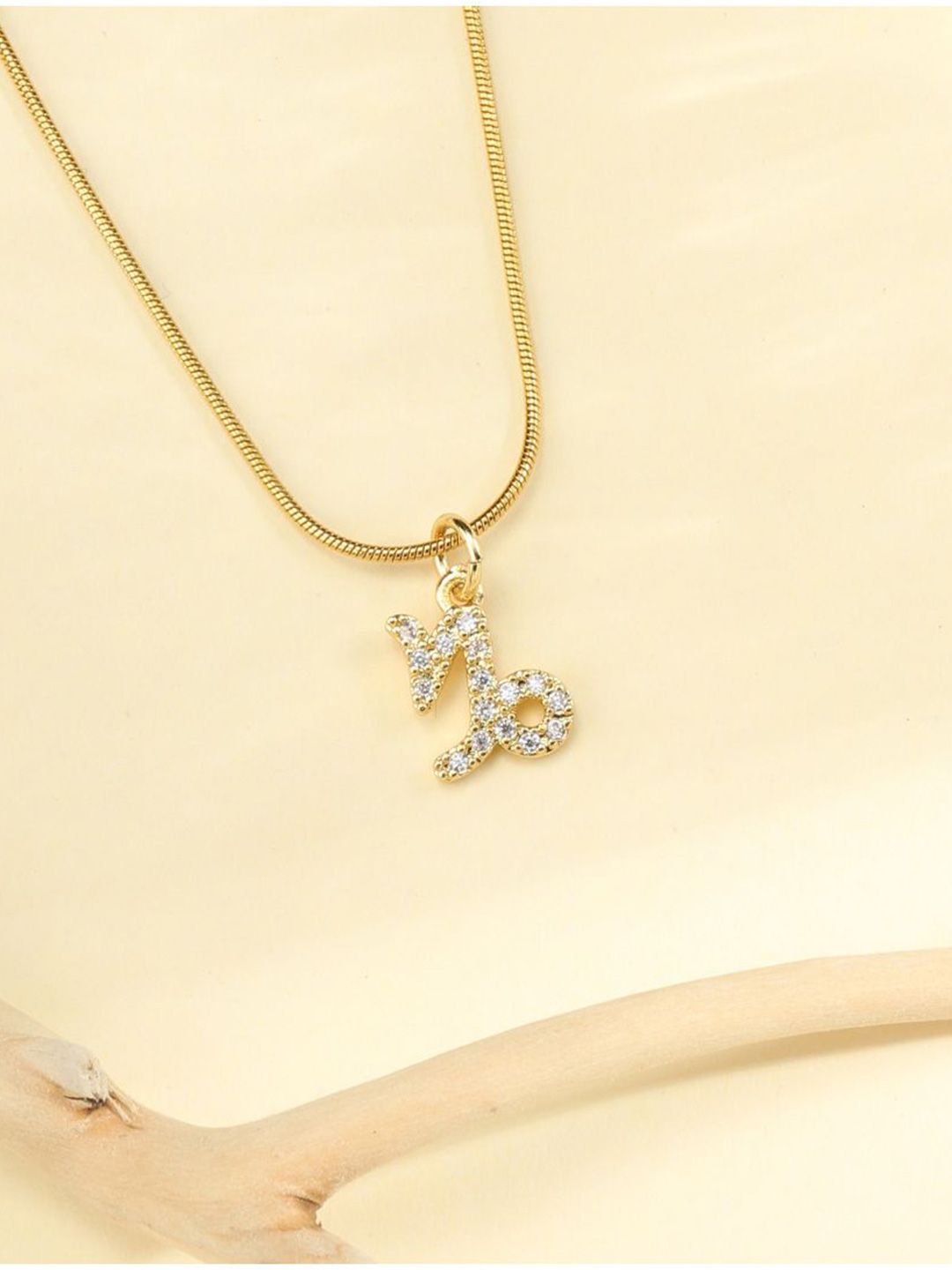 SALTY Set Of 2 Capricorn & Pisces Pendant With Chain