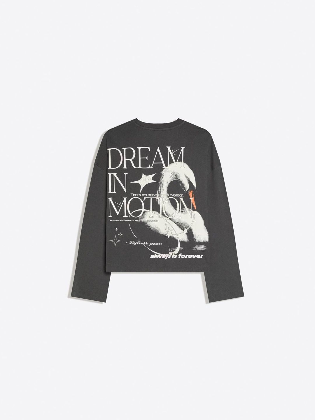 Oversize long-sleeve print T-shirt