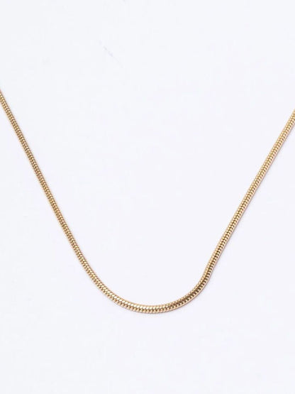 SALTY Pack of 2 Men Round Snake Gold Chain