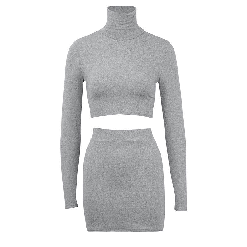 Bodycon Two-Piece Set with Cropped Turtleneck Top and Mini Skirt