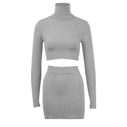 Bodycon Two-Piece Set with Cropped Turtleneck Top and Mini Skirt
