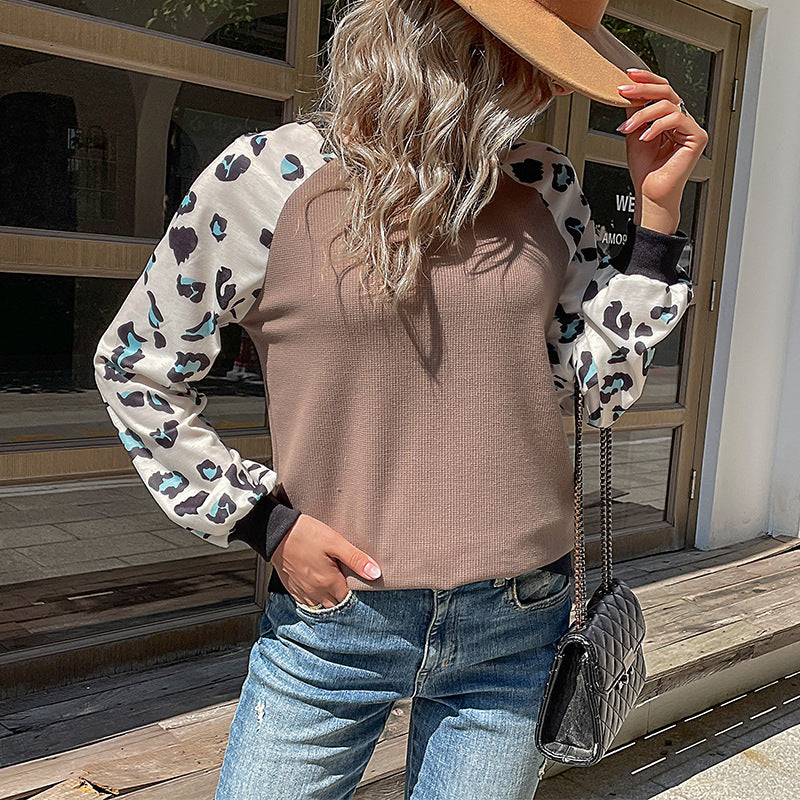 Leopard Print Color-Block Knit Sweater with Raglan Sleeves