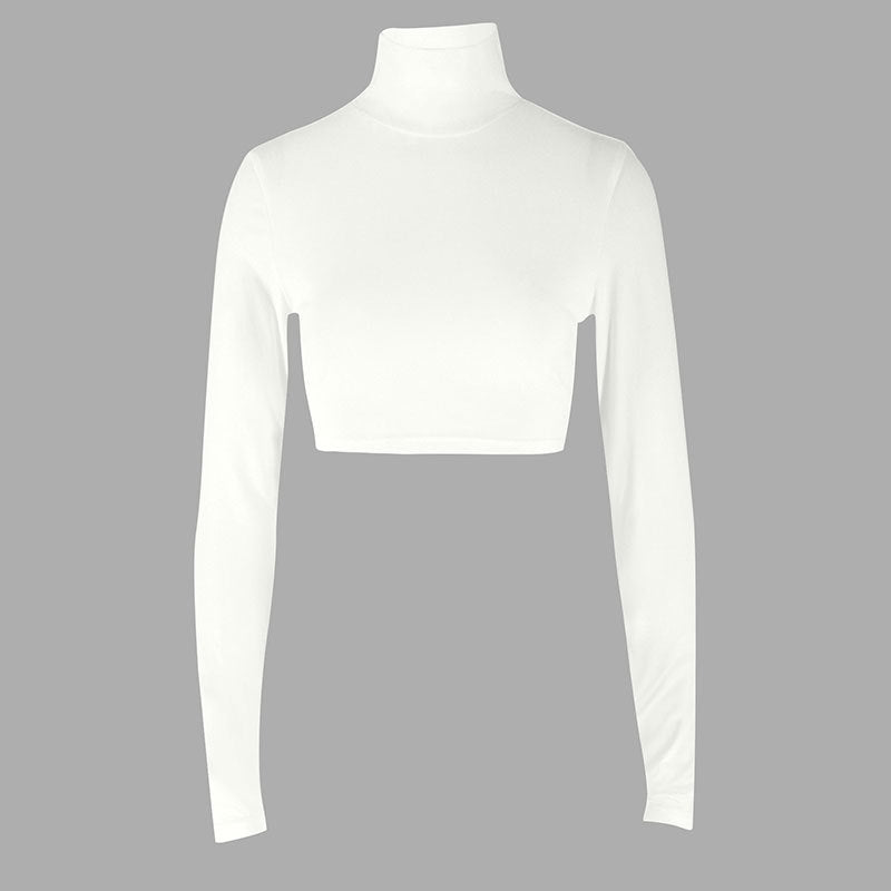 Solid Slim Fit High Neck Cropped Top