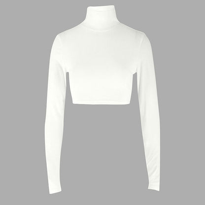 Solid Slim Fit High Neck Cropped Top