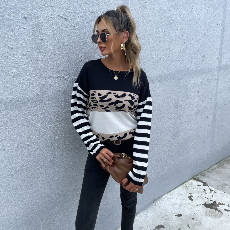 Leopard Print Colorblock Pullover with Striped Sleeves