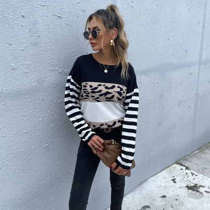 Leopard Print Colorblock Pullover with Striped Sleeves