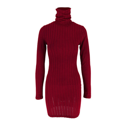 Ribbed Bodycon Mini Dress with High Neck and Long Sleeves