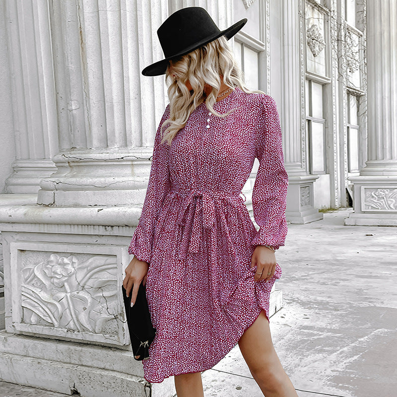 Ditsy Floral A-Line Dress with Stand Collar and Tie-Waist