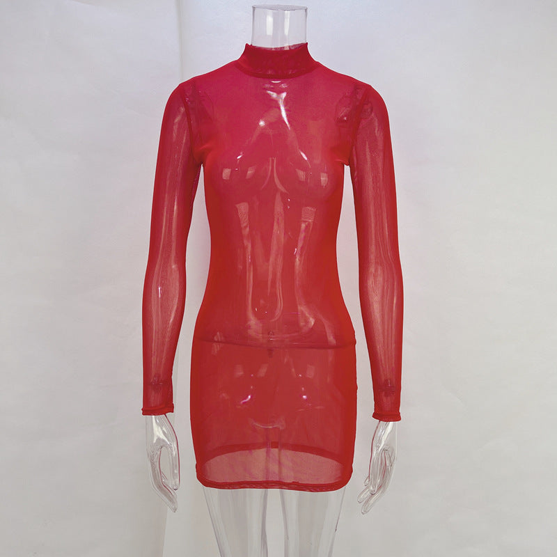 Bodycon Mesh Mini Dress with Mock Neck and Long Sleeves