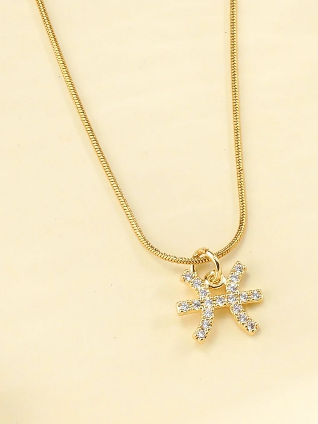 SALTY Set Of 2 Taurus & Pisces Pendant With Chain