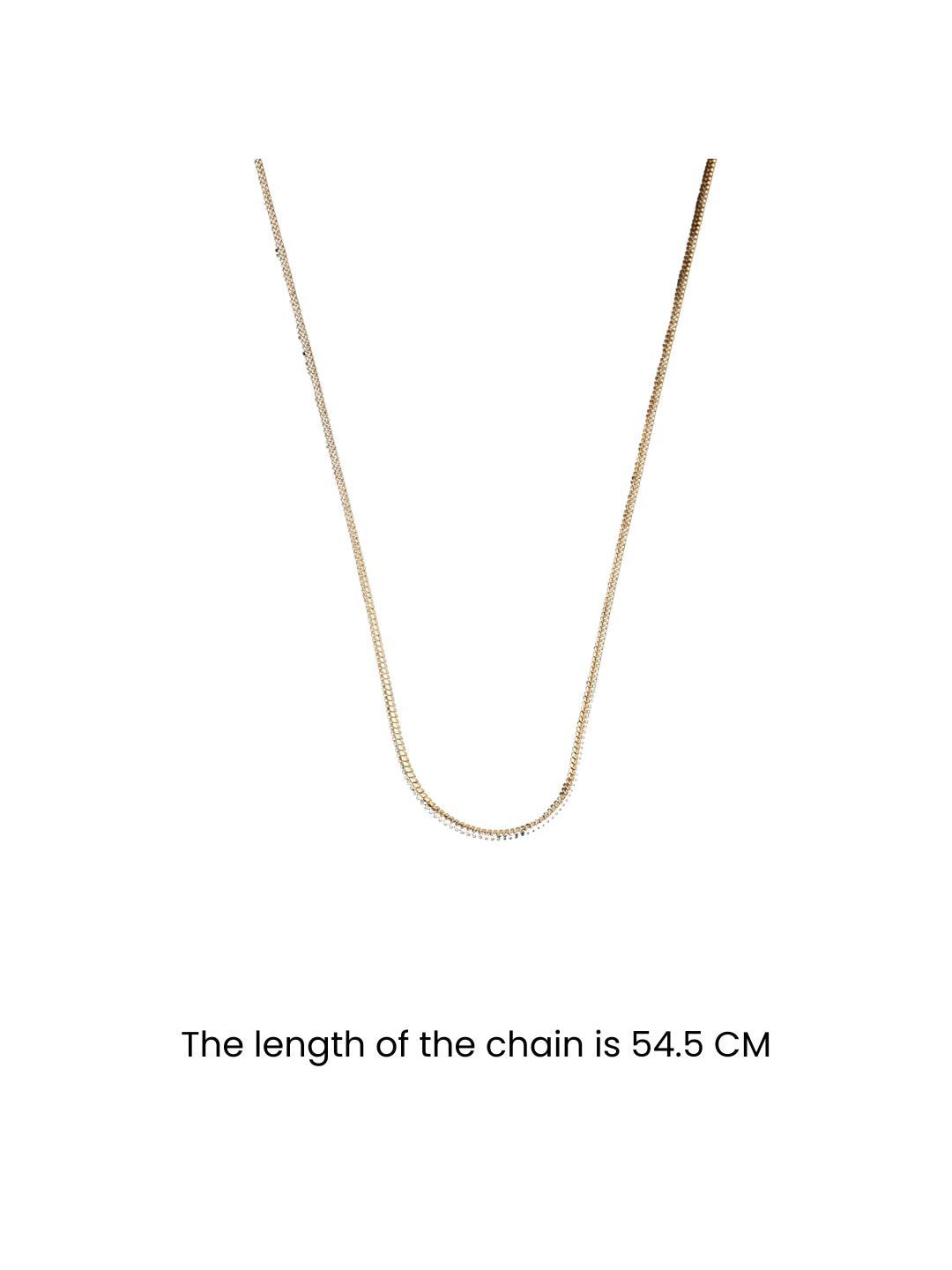 SALTY Pack of 2 Men Round Snake Gold Chain