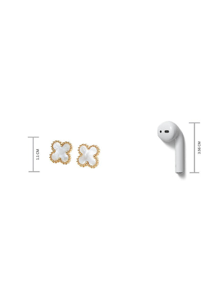 SALTY Pack of 2 Women Champagne Wishes Studs