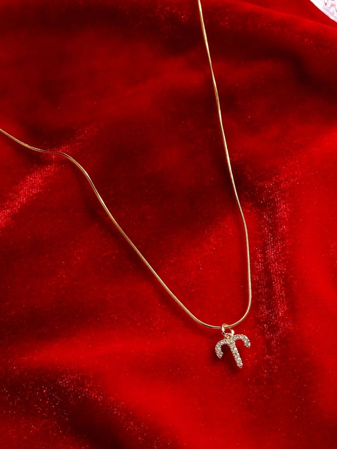 SALTY Set Of 2 Stones-Studded Aries & Aquarius Pendant With Chain