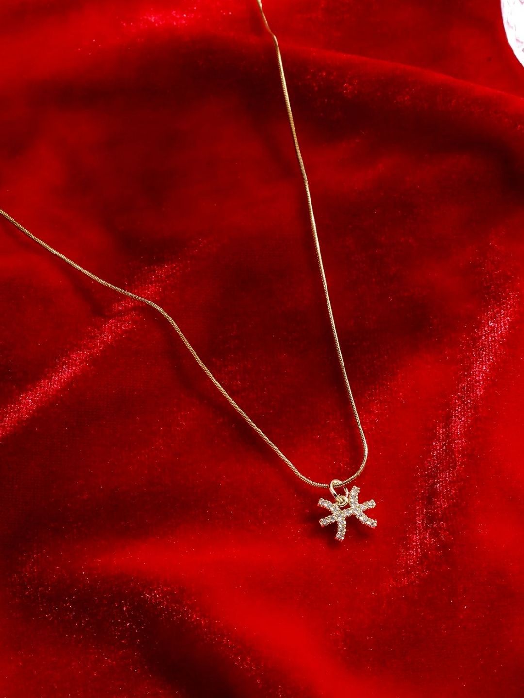SALTY Set Of 2 Taurus & Pisces Pendant With Chain
