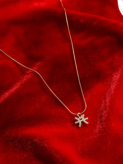 SALTY Set Of 2 Taurus & Pisces Pendant With Chain
